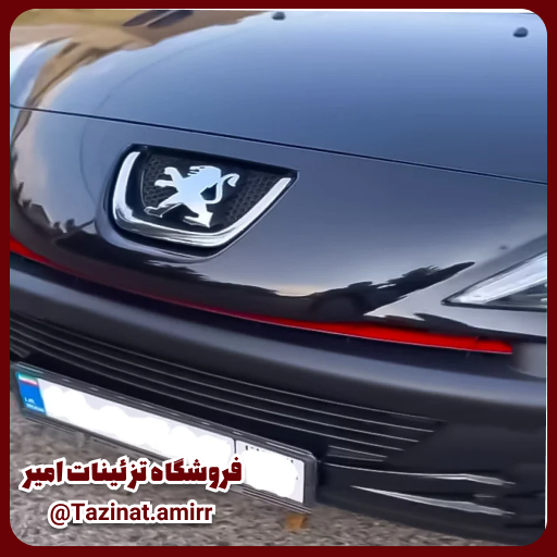 لوازم جانبی 207